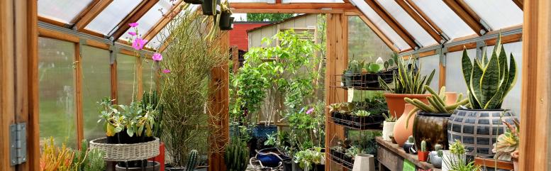 main of A Greenhouse Can Extend Your Growing Period Year Round
