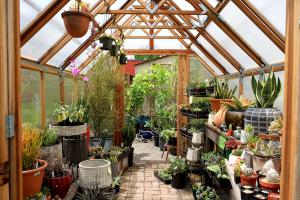 thumbnail of A Greenhouse Can Extend Your Growing Period Year Round
